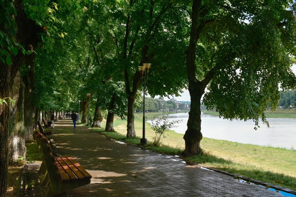 В Ужгороде рекордно быстро зацвела самая длинная липовая аллея Европы (ФОТО) - 385322 В Ужгороде рекордно быстро зацвела самая длинная липовая аллея Европы (ФОТО) - фото 385322