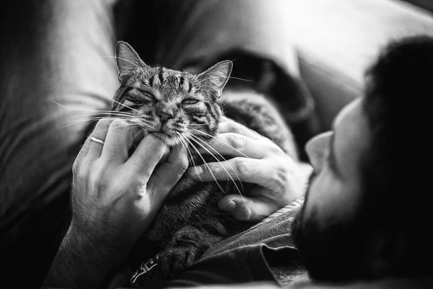 Мужчины и их кошки: фотографии, которые расстопять ваше сердце - фото 385762