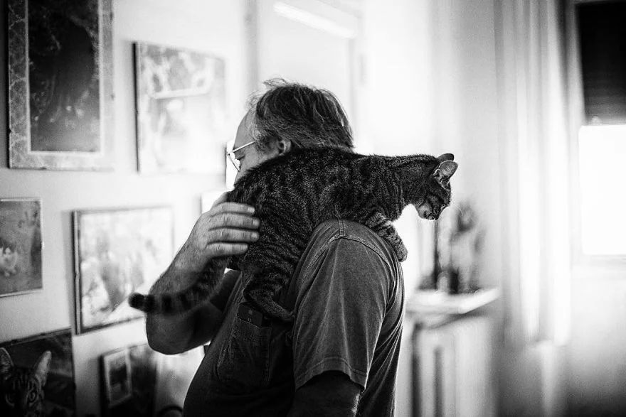 Чоловіки та їх коти: фотографії, які розчулять ваше серце - фото 385764