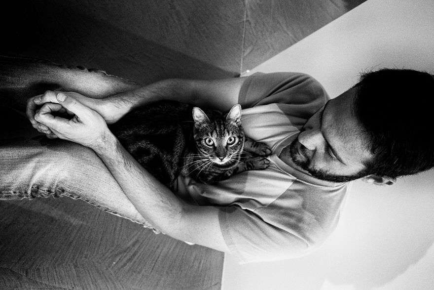 Мужчины и их кошки: фотографии, которые расстопять ваше сердце - фото 385758