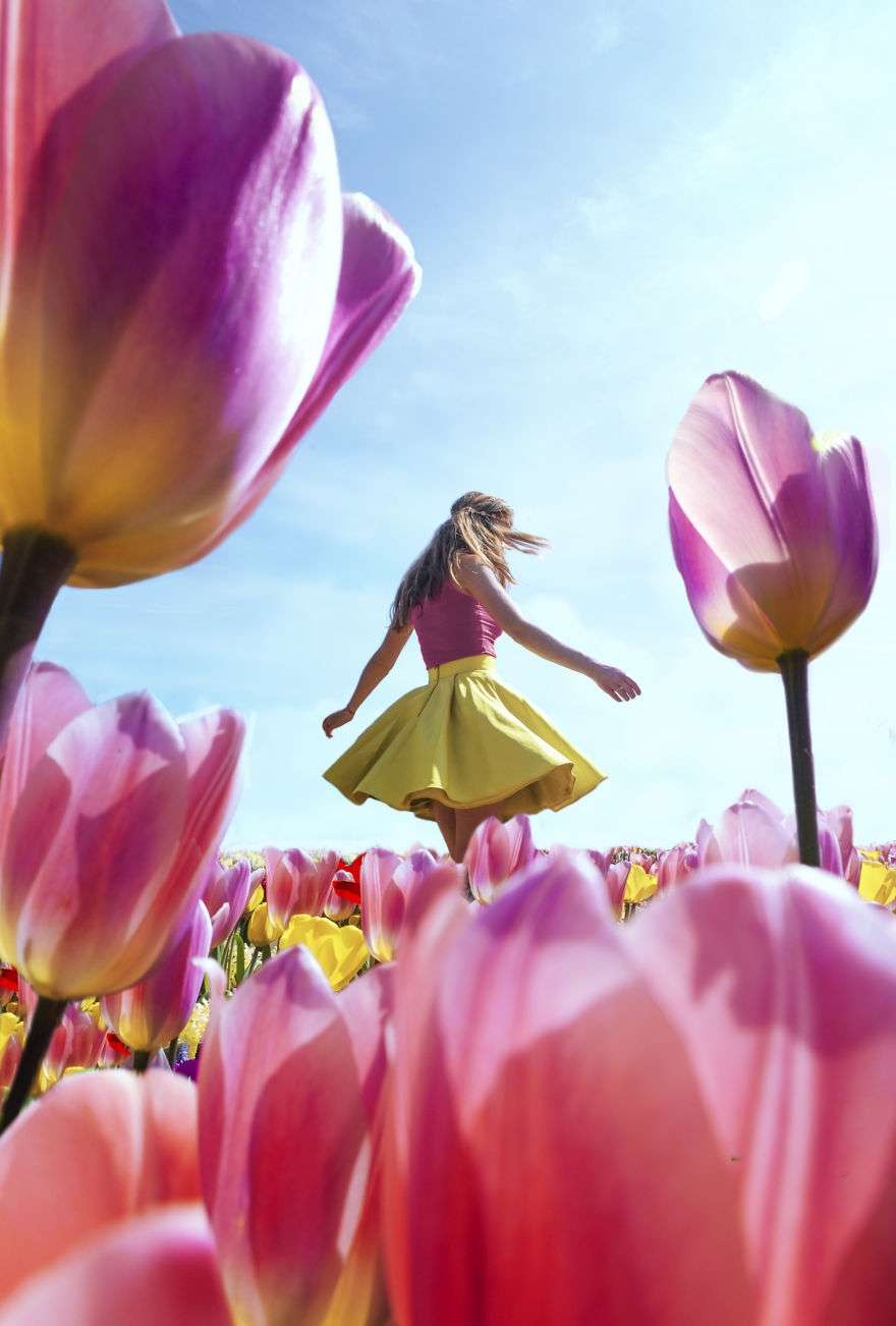В Нидерландах зацвели поля тюльпанов - зрелище, от которого невозможно оторвать взгляд - фото 382224