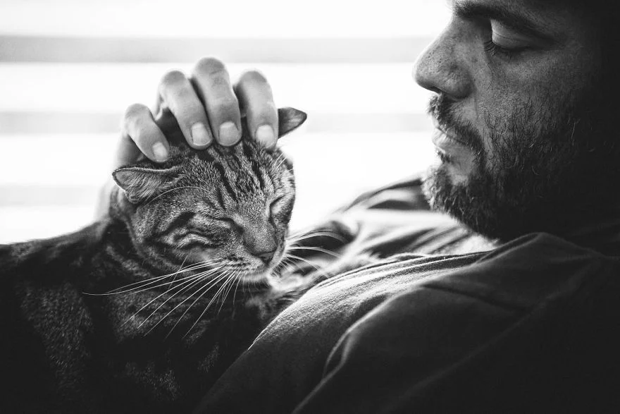 Чоловіки та їх коти: фотографії, які розчулять ваше серце - фото 385763
