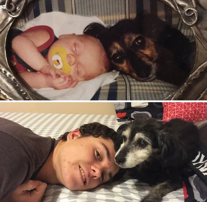 Тогда и сейчас: люди показали трогательные фото, как взрослели со своими собаками - фото 389002