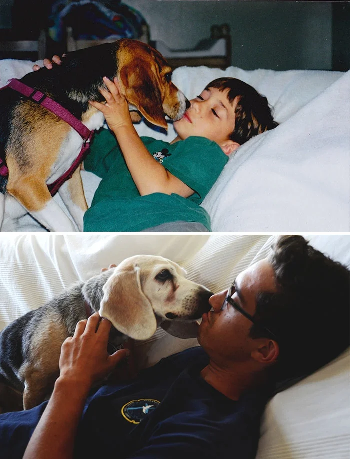 Тогда и сейчас: люди показали трогательные фото, как взрослели со своими собаками - фото 388997