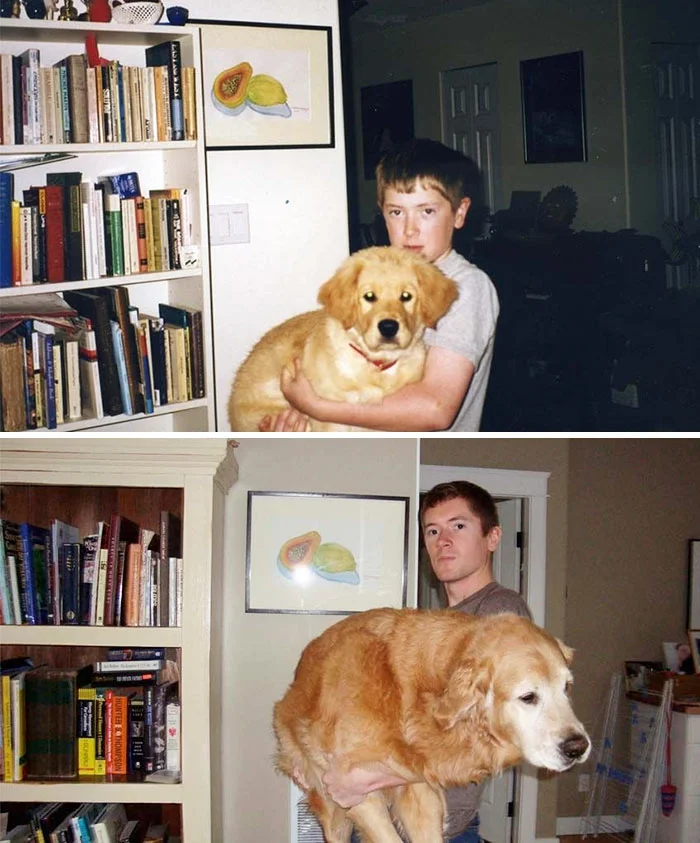 Тогда и сейчас: люди показали трогательные фото, как взрослели со своими собаками - фото 389005