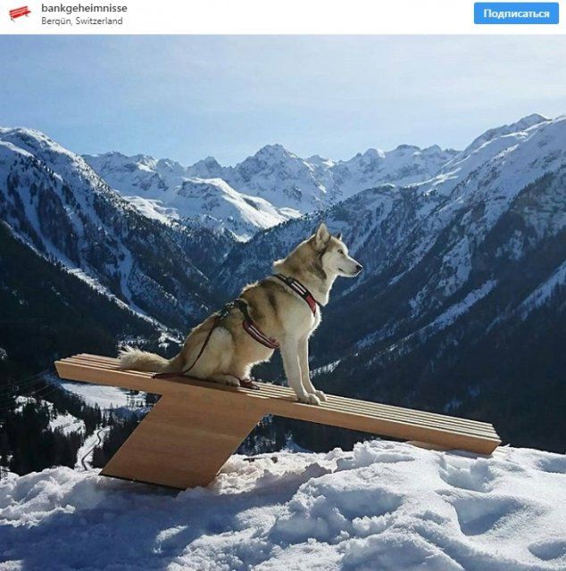 Показали знімки найкрасивішого альпійського містечка, яке не можна фотографувати - 388678 Показали знімки найкрасивішого альпійського містечка, яке не можна фотографувати - фото 388678