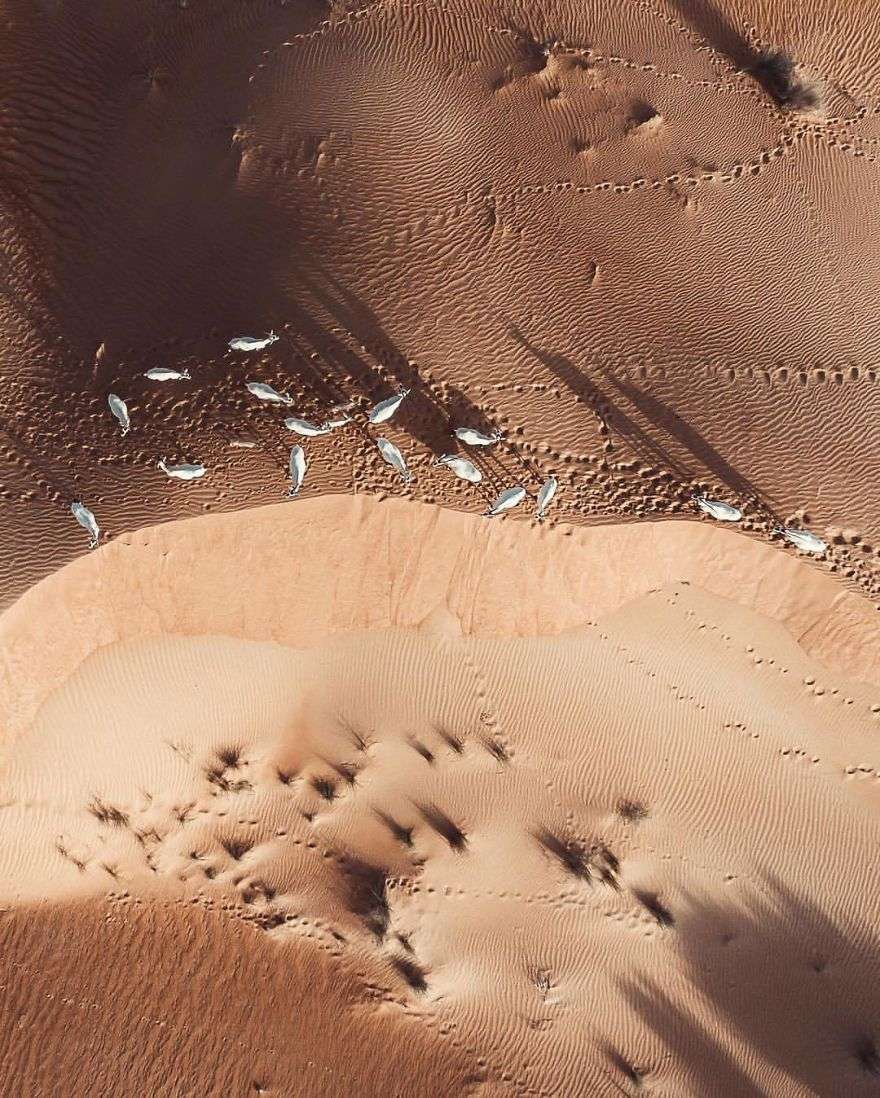 Уникальные фото Арабских Эмиратов с высоты показывают, как пустыня захватывает все вокруг - фото 388642