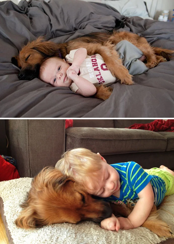 Тогда и сейчас: люди показали трогательные фото, как взрослели со своими собаками - фото 389019