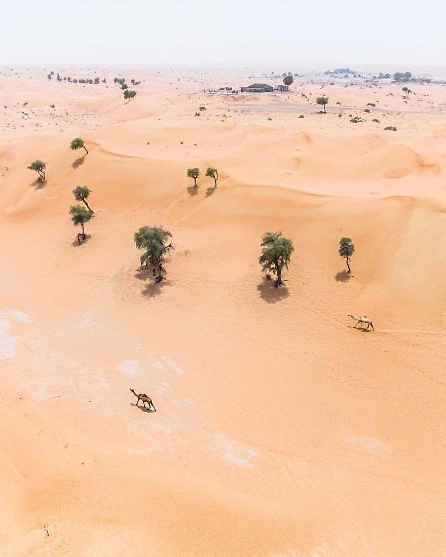 Уникальные фото Арабских Эмиратов с высоты показывают, как пустыня захватывает все вокруг - фото 388632