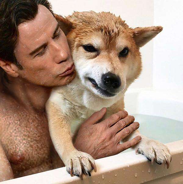 Собака, который не любит купаться, стал героем забавных мемов - фото 391092
