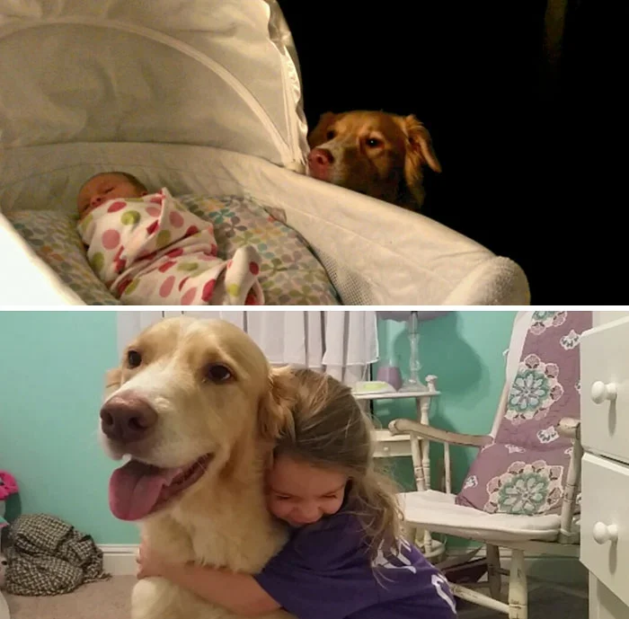 Тогда и сейчас: люди показали трогательные фото, как взрослели со своими собаками - фото 389018