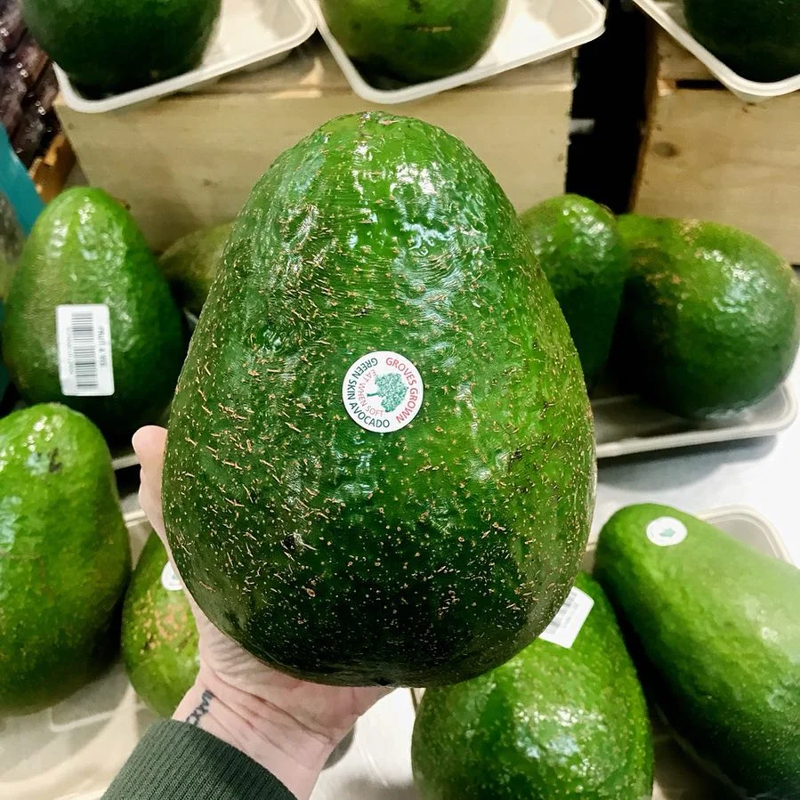 Размер имеет значение: о авокадо-гигантах сейчас говорит весь мир - фото 393721