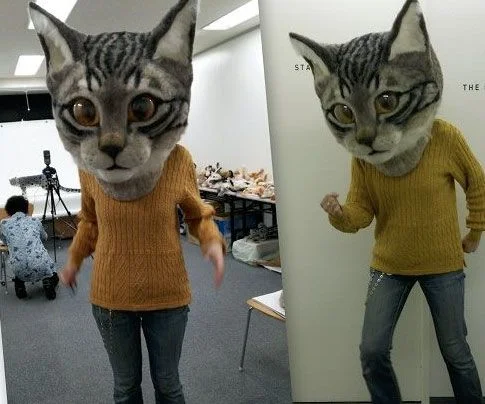 Японці придумали новий тренд і тепер носять гігантські котячі голови з шерсті - фото 393902