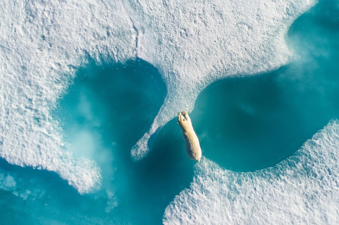 Лучшие фотографии с дронов 2018 года доказывают, что сверху вид красивее - 394983 Лучшие фотографии с дронов 2018 года доказывают, что сверху вид красивее - фото 394983