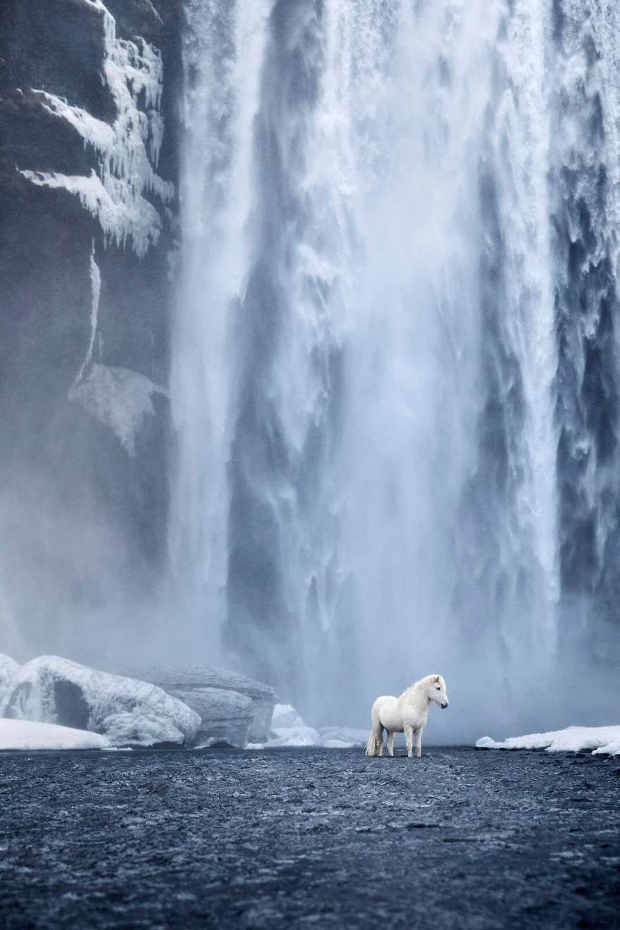 Фотограф показал красоту исландских лошадей, и эти фото как из сказки - фото 395496