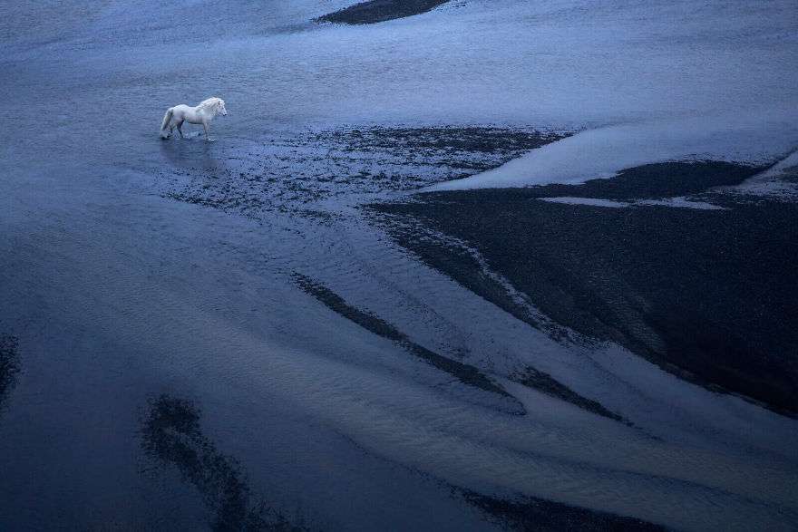 Фотограф показал красоту исландских лошадей, и эти фото как из сказки - фото 395497