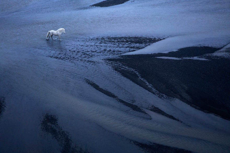 Фотограф показав красу ісландських коней, і ці фото наче з казки - фото 395497