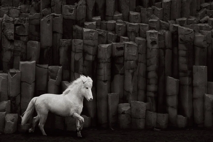 Фотограф показал красоту исландских лошадей, и эти фото как из сказки - фото 395500