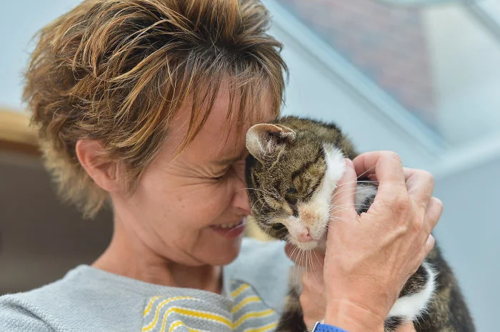 Історія про кішечку, яка повернулась додому через 13 років - найпрекрасніше, що ви чули - фото 397264
