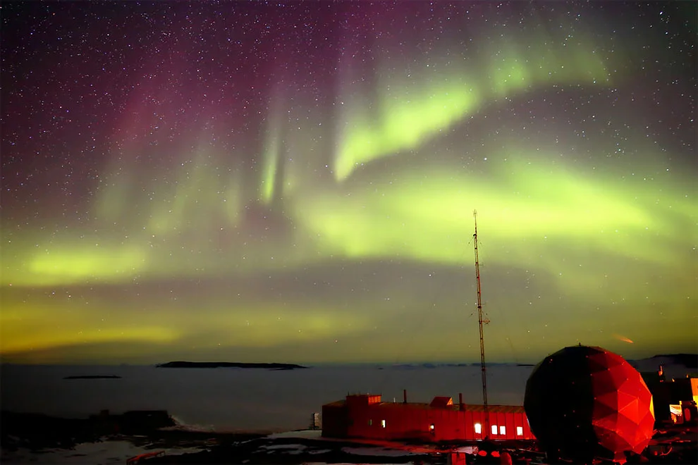 Создание холода: лучшие фотографии дикой природы, сделанные в Антарктике - фото 398509