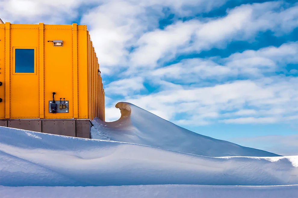 Створіння холоду: найкращі фотографії дикої природи, зроблені в Антарктиці - фото 398510