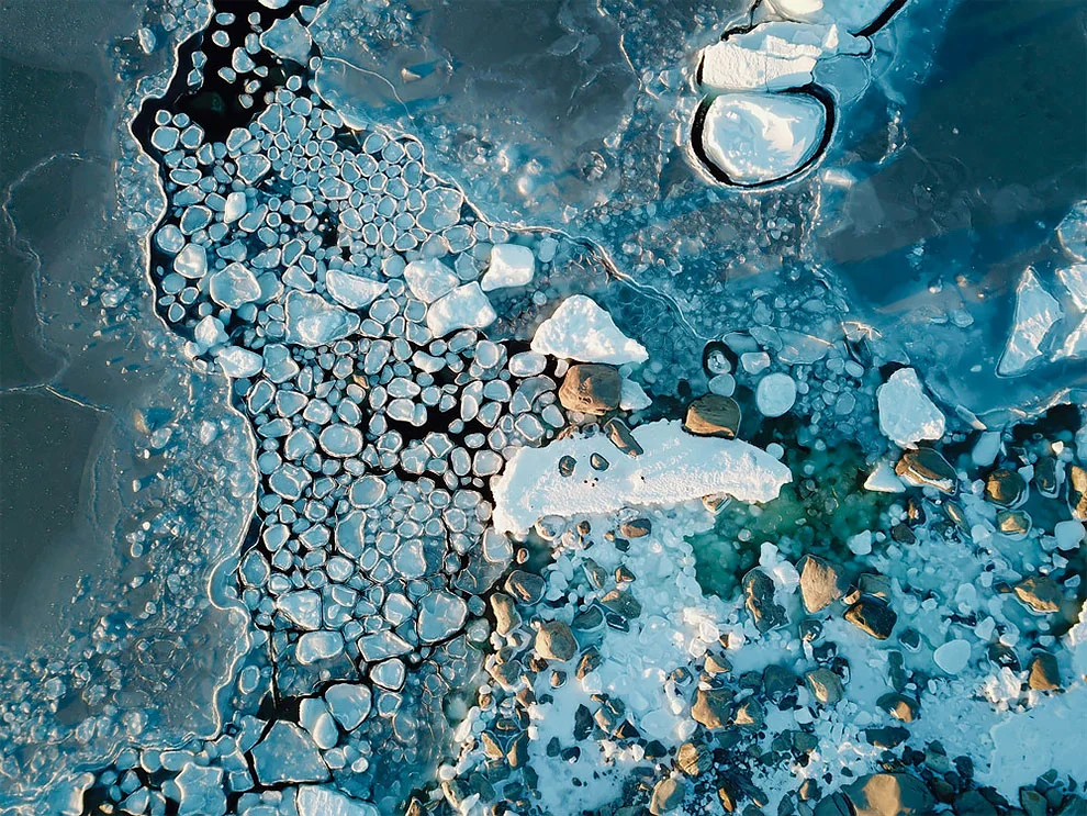 Создание холода: лучшие фотографии дикой природы, сделанные в Антарктике - фото 398512