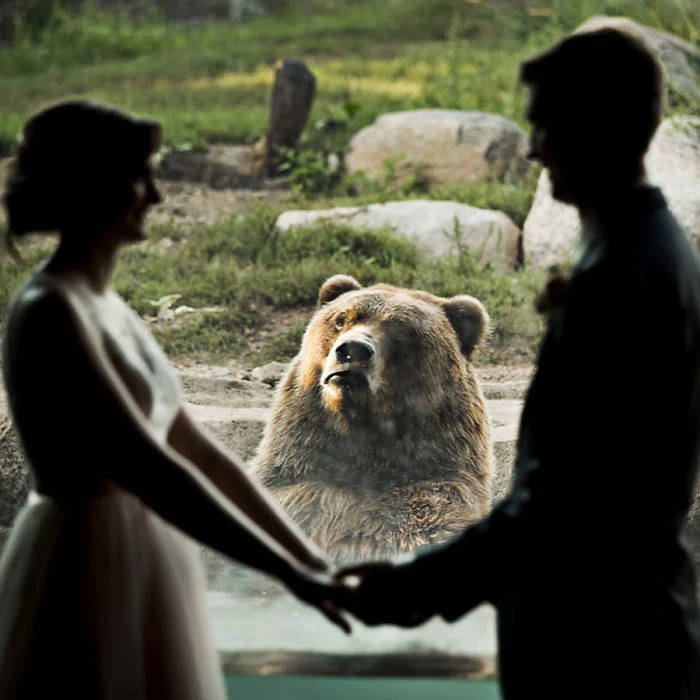Пара устроила свадьбу в зоопарке, и медведь вышел лучше на фото, чем молодые - фото 403164