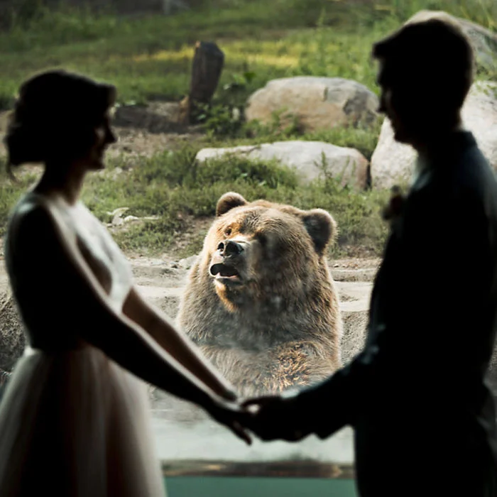 Пара влаштувала весілля в зоопарку, і ведмідь вийшов краще на фото, ніж молодята - фото 403166