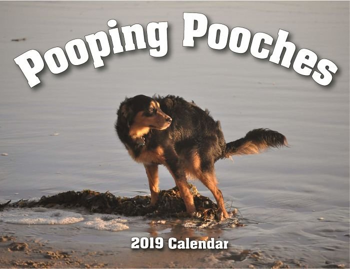 Календарь с какающими собаками - извращенная вещь, которую ты никогда себе не купишь - фото 404146