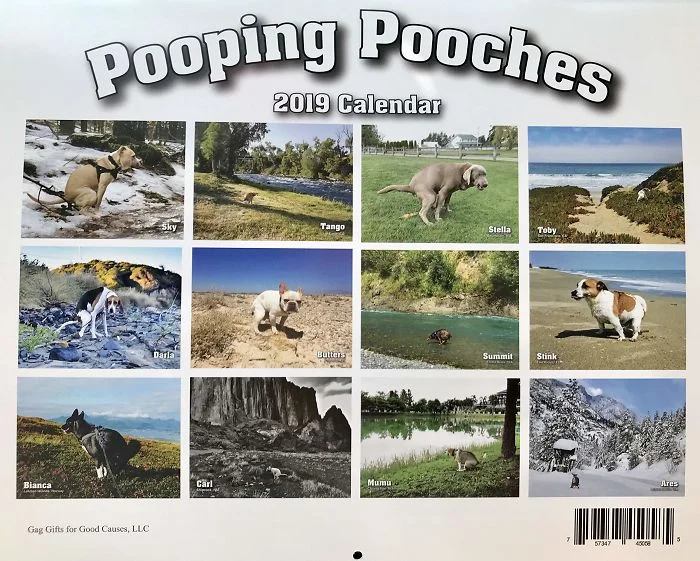 Календар з какаючими собаками - збочена річ, яку ти ніколи собі не купиш - фото 404157