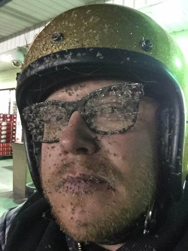 Не парся, судячи з фото, у цих людей деньок видався набагато гіршим, аніж у тебе - 404385 Не парся, судячи з фото, у цих людей деньок видався набагато гіршим, аніж у тебе - фото 404385