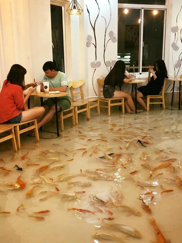 Вьетнамское кафе просит посетителей снимать обувь, а причиной этому - живая рыба - фото 405945