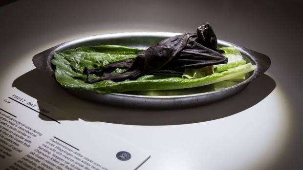 Не для слабонервных: в Швеции открывается музей отвратительной еды - фото 406050