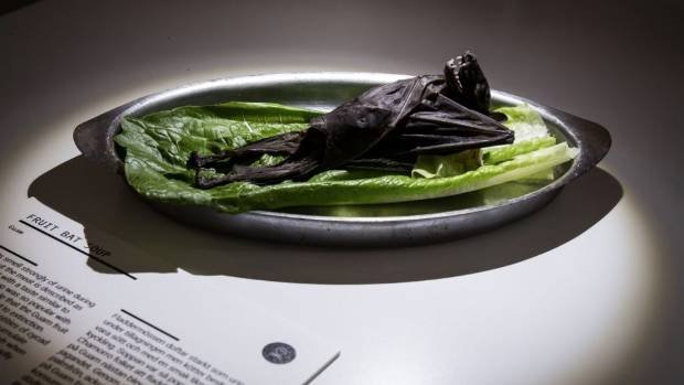 Не для слабодухих: у Швеції відкривається музей огидної їжі - фото 406050