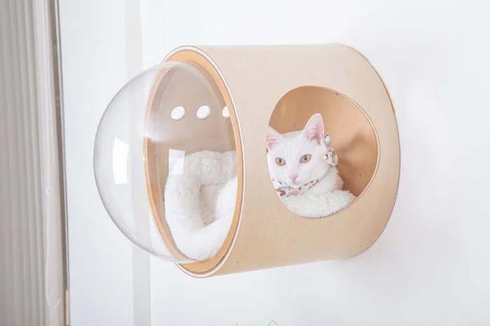 Для кошек создали крутые домики, чтобы малые смогли себя почувствовать космонавтами - фото 406683