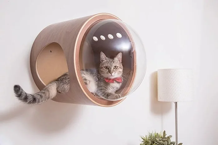 Для кошек создали крутые домики, чтобы малые смогли себя почувствовать космонавтами - фото 406684