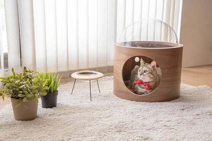 Для кошек создали крутые домики, чтобы малые смогли себя почувствовать космонавтами - фото 406688