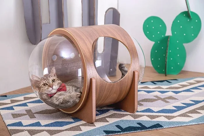 Для кошек создали крутые домики, чтобы малые смогли себя почувствовать космонавтами - фото 406689