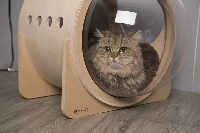 Для кошек создали крутые домики, чтобы малые смогли себя почувствовать космонавтами - фото 406692