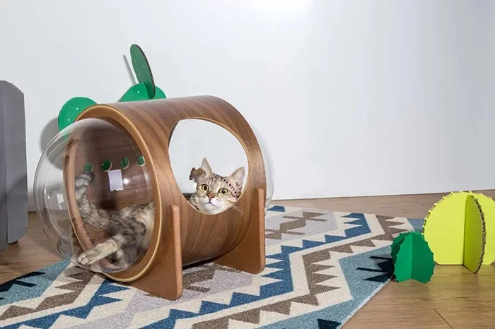 Для кошек создали крутые домики, чтобы малые смогли себя почувствовать космонавтами - фото 406693