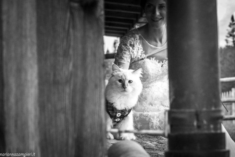 Невесты и их киски: фотограф делает свадебные фото без мужчин - фото 406917