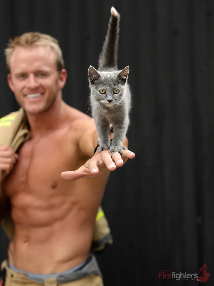 Накачані австралійські пожежники з тваринами - фото, які змусять твоє серце битися частіше - фото 407816
