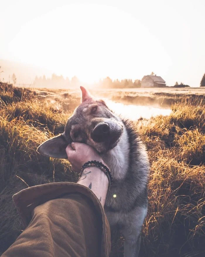Фото з собакою в стилі #FollowMeTo - зворушливий тренд для любителів подорожей - фото 408296