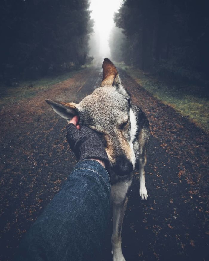 Фото з собакою в стилі #FollowMeTo - зворушливий тренд для любителів подорожей - фото 408300