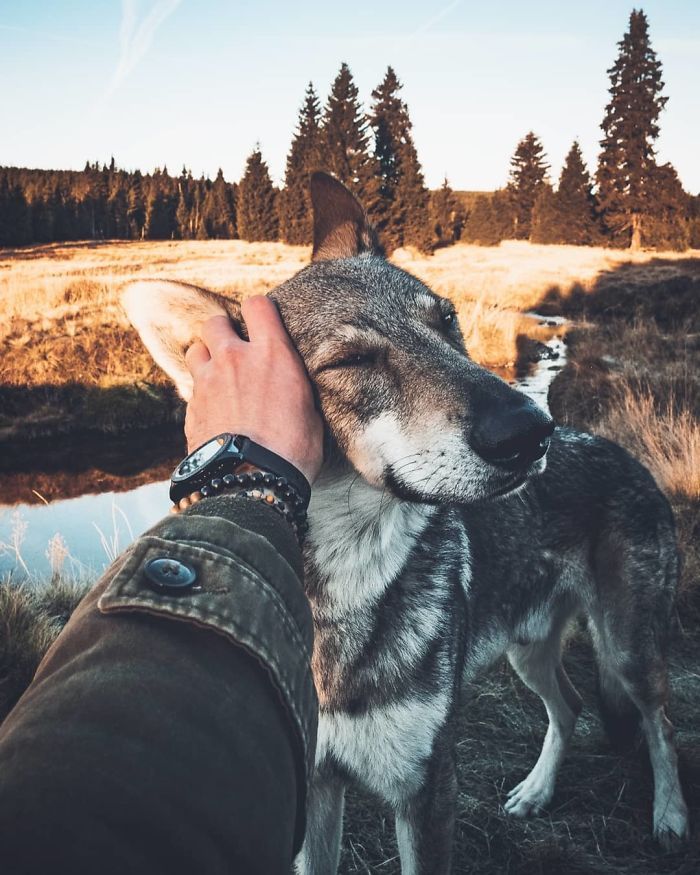 Фото з собакою в стилі #FollowMeTo - зворушливий тренд для любителів подорожей - фото 408305