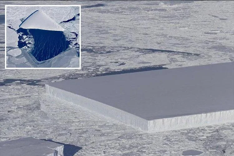 Пингвины постарались: в Антарктике обнаружили айсберг идеальной формы - фото 409528
