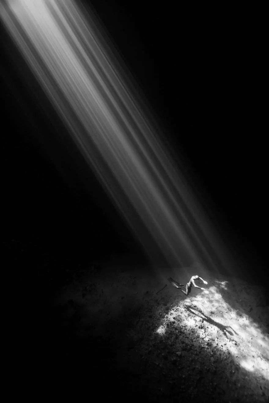 Химерний світ під водою: показали переможців конкурсу підводної фотографії 2018 - фото 409746