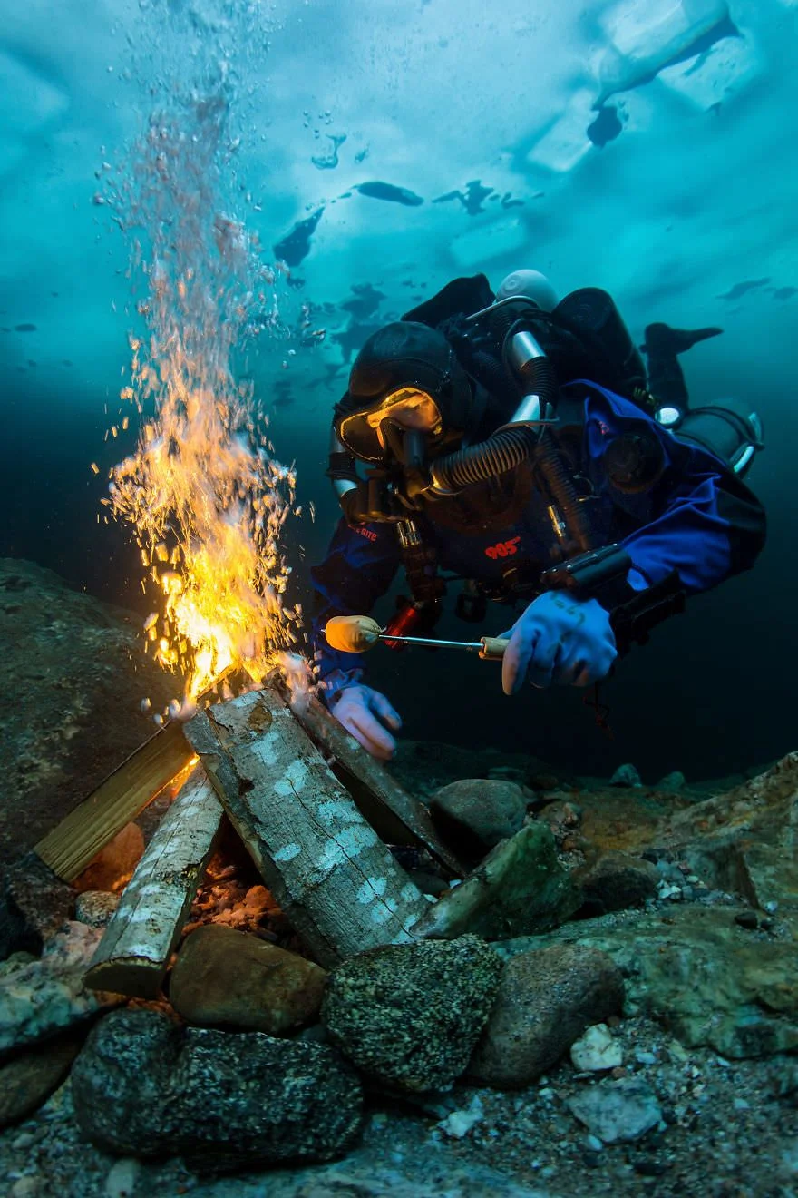 Причудливый мир под водой: показали победителей конкурса подводной фотографии 2018 - фото 409756