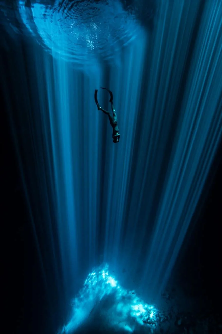Причудливый мир под водой: показали победителей конкурса подводной фотографии 2018 - фото 409757
