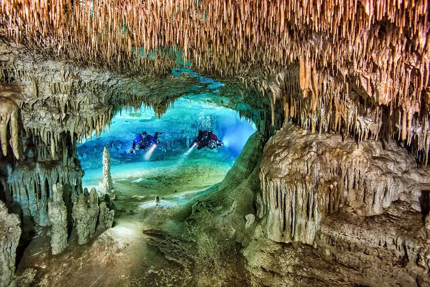 Причудливый мир под водой: показали победителей конкурса подводной фотографии 2018 - фото 409763